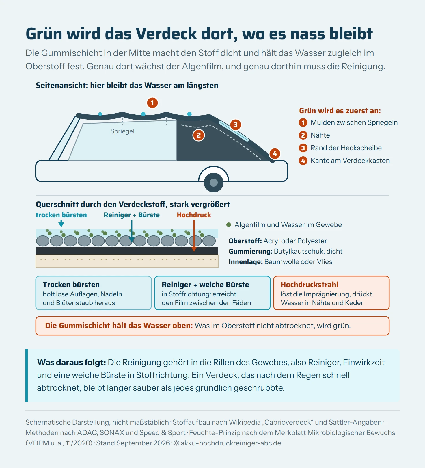 Zweiteilige Schemagrafik. Oben ein Cabrio-Stoffverdeck in der Seitenansicht mit drei Spriegeln, die den Stoff zu flachen Mulden formen, dazu Heckscheibe und hintere Verdeckkante. Vier nummerierte Marker zeigen, wo Wasser am längsten steht und der grüne Belag zuerst wächst: erstens die Mulden zwischen den Spriegeln, zweitens die Nähte, drittens der Rand der Heckscheibe mit Keder, viertens die hintere Kante über dem Verdeckkasten. Unten ein vergrößerter Querschnitt durch den dreilagigen Stoff: außen das Gewebe aus Acryl oder Polyester mit grünen Algenpunkten zwischen den Fäden, darunter die wasserdichte Gummischicht aus Butylkautschuk, ganz unten die Innenlage aus Baumwolle oder Vlies. Wassertropfen bleiben über der Gummischicht im Gewebe stehen. Rechts daneben drei Methoden mit ihrer Wirkung: trockenes Bürsten löst lose Auflagen, Reiniger mit weicher Bürste in Stoffrichtung erreicht den Film im Gewebe, ein Hochdruckstrahl löst die Imprägnierung und drückt Wasser in Nähte und Kederränder.
