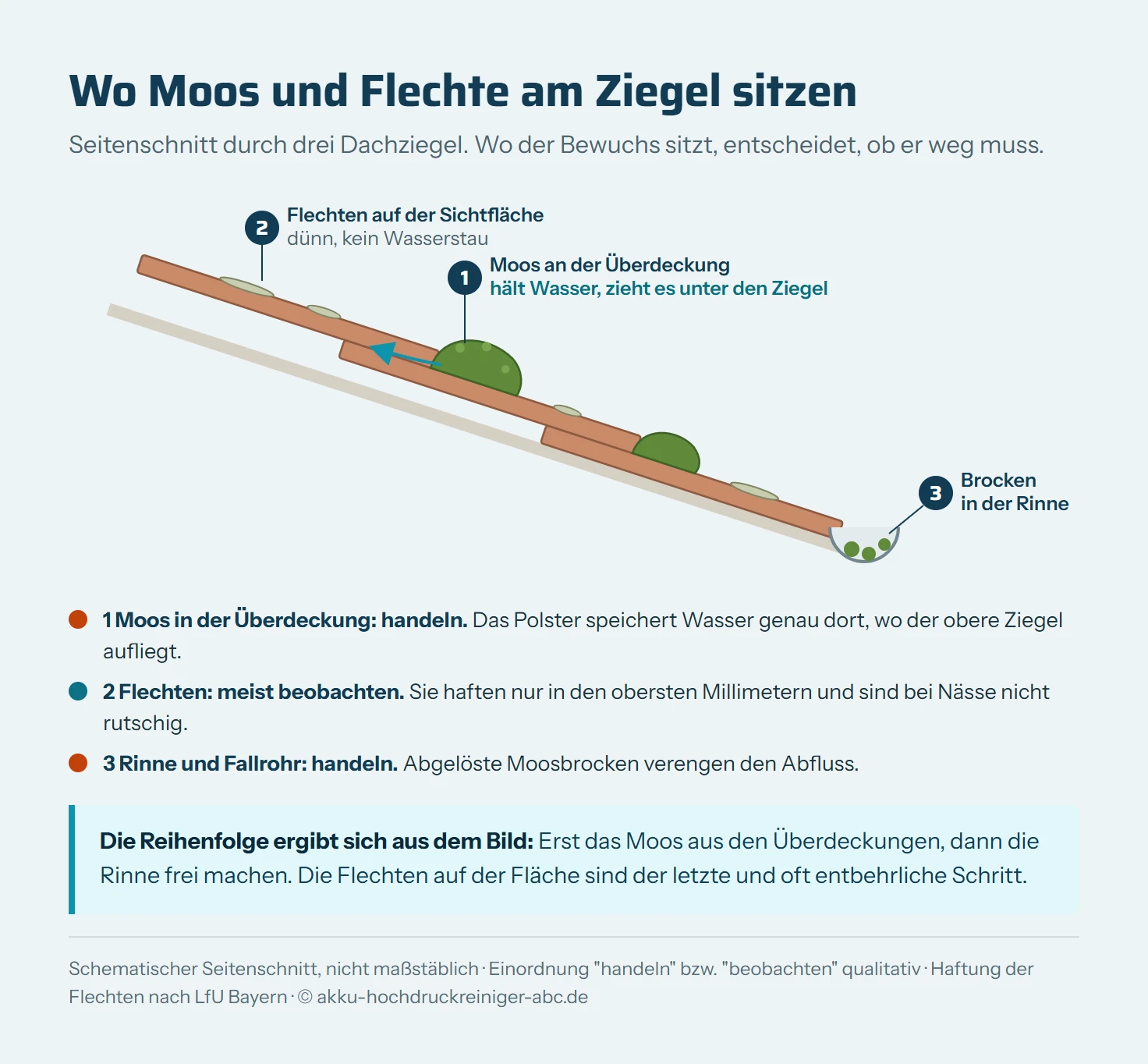 Schematischer Seitenschnitt durch drei sich überlappende Dachziegel, die zur Dachrinne führen. Marker 1: Ein Moospolster sitzt an der Überdeckung, wo der untere Rand eines Ziegels auf dem nächsten aufliegt, ein Pfeil zeigt Wasser, das unter den oberen Ziegel zieht. Marker 2: Flache Flechtenflecken liegen auf den Sichtflächen der Ziegel. Marker 3: Abgelöste Moosbrocken liegen in der Dachrinne. Die Legende bewertet Moos und Rinne mit handeln, Flechten mit beobachten.