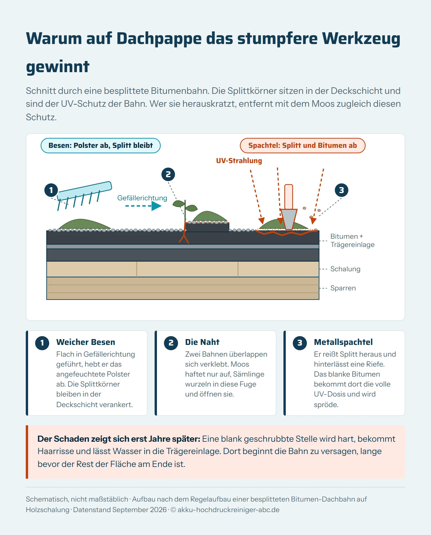 Schematischer Querschnitt durch ein Bitumendach von oben nach unten: Moospolster, Splittbestreuung, Bitumenschicht mit Trägereinlage, darunter Holzschalung und Sparren. Links im Bild führt ein weicher Kunststoffbesen flach in Gefällerichtung über die Fläche und hebt das Polster ab, die Splittkörner bleiben in der Bitumenschicht verankert. Rechts im Bild greift ein Metallspachtel in die Oberfläche, reißt Splittkörner heraus und hinterlässt eine Riefe im blanken Bitumen, in die ein Pfeil für UV-Strahlung zeigt. In der Mitte ist eine Nahtüberlappung zweier Bahnen dargestellt, an der ein Wurzelstrang eines Sämlings in die Fuge wächst.