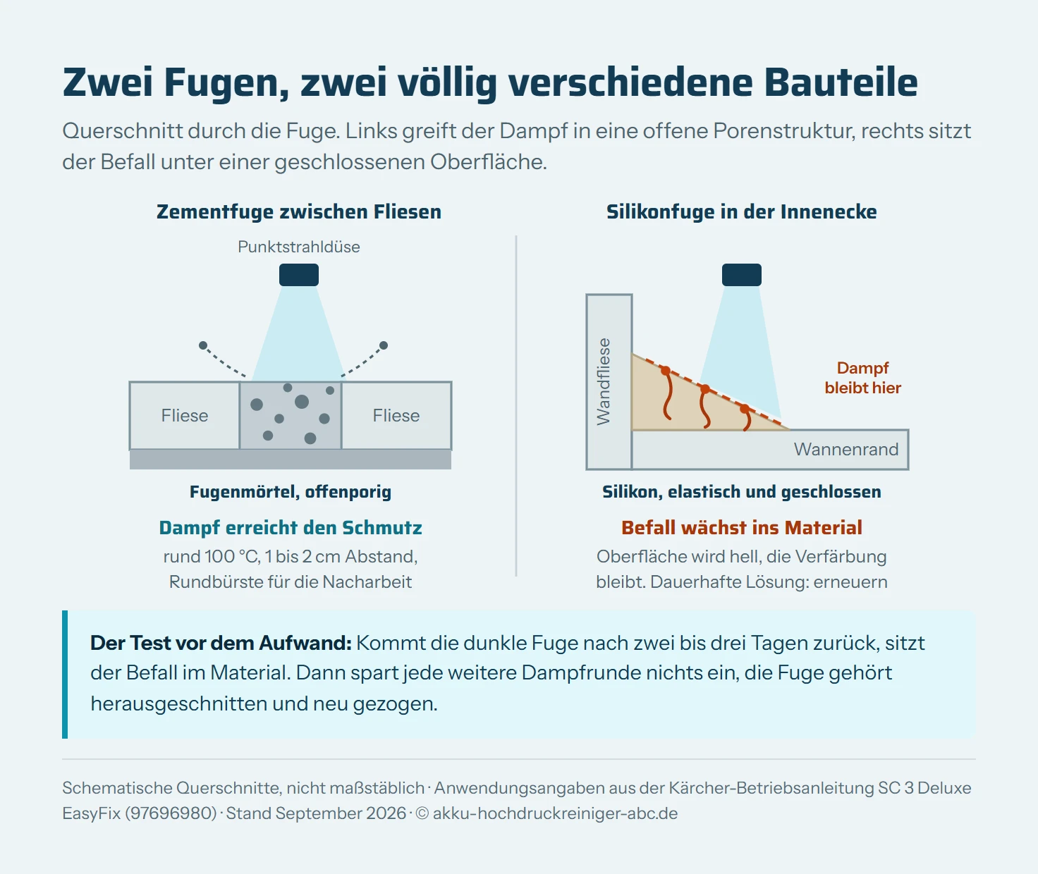 Zwei schematische Fugenquerschnitte nebeneinander. Links eine Zementfuge zwischen zwei Fliesen, deren poröse Oberfläche von offenen Vertiefungen mit Schmutz durchsetzt ist. Ein Dampfstrahl aus der Punktstrahldüse trifft aus ein bis zwei Zentimetern Abstand auf die Fuge, gelöste Schmutzpartikel steigen seitlich ab. Rechts eine Silikonfuge in der Innenecke zwischen Wandfliese und Wannenrand, deren geschlossene Oberfläche von vier verzweigten Pilzfäden mehrere Millimeter tief durchwachsen ist. Der Dampfstrahl trifft nur die Oberseite, die Verfärbung darunter bleibt.