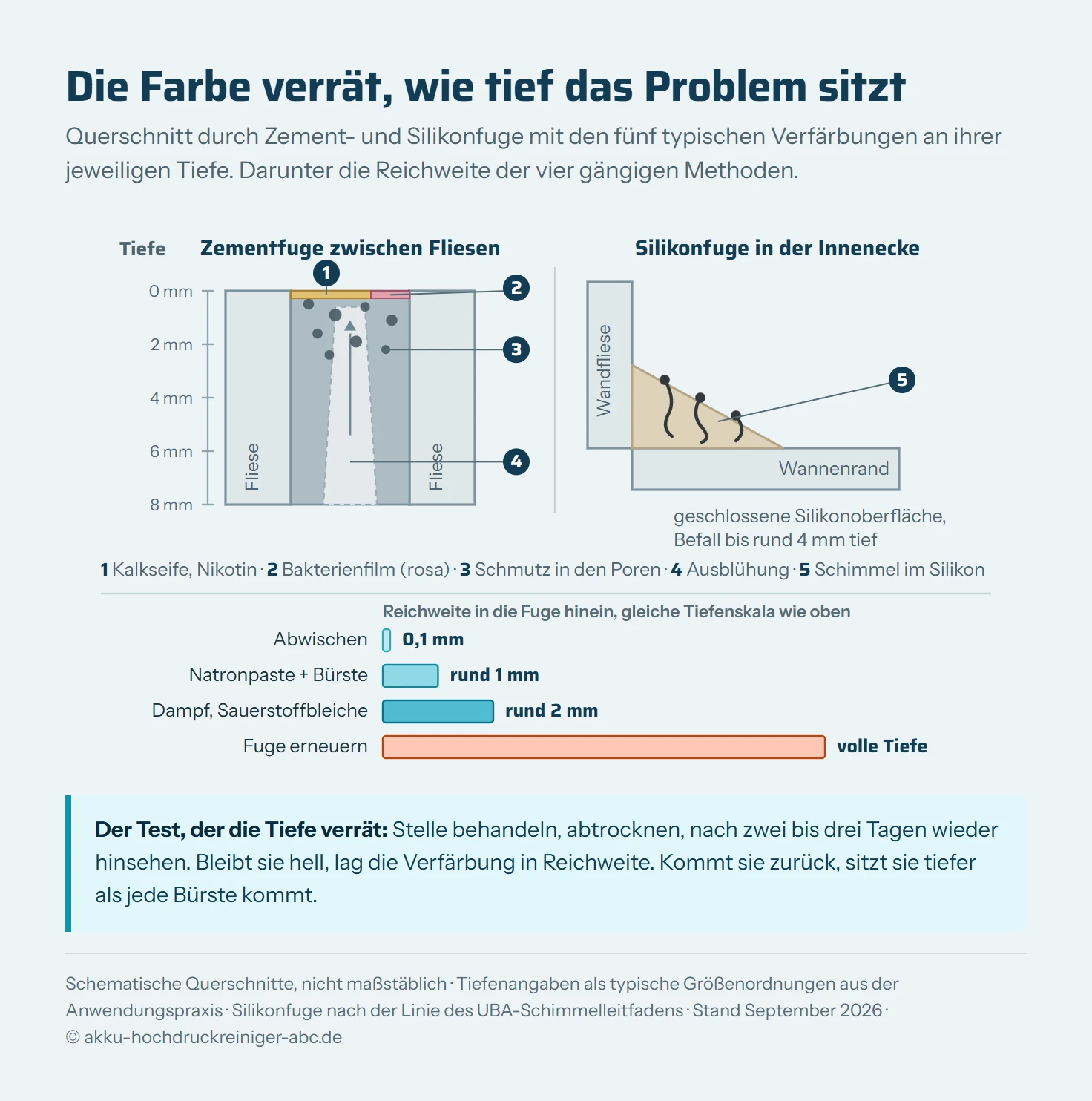 Querschnitt durch eine Fuge zwischen zwei Fliesen mit einer senkrechten Tiefenskala von null bis acht Millimeter am linken Rand. In der Fuge sind fünf Verfärbungsarten an ihrer typischen Tiefe eingezeichnet und nummeriert: Kalkseife und Nikotin als dünner gelber Film direkt auf der Oberfläche bei null bis 0,2 Millimeter, rosa Bakterienfilm ebenfalls auf der Oberfläche, grauer Schmutz als dunkle Punkte in den offenen Poren zwischen 0,3 und 2 Millimeter Tiefe, weiße Ausblühungen als heller Keil, der von unten aus dem Mörtel nach oben an die Oberfläche wandert, und schwarzer Schimmel als verzweigte orange Fäden, die in einem daneben gestellten Silikonfugen-Ausschnitt von der Oberfläche bis rund vier Millimeter ins Material reichen. Rechts daneben steht eine zweite Skala mit vier waagerechten Balken, die zeigen, wie tief die jeweilige Methode reicht: Abwischen etwa 0,1 Millimeter, Natronpaste mit Bürste etwa 1 Millimeter, Dampf und Sauerstoffbleiche etwa 2 Millimeter, Fuge erneuern über die volle Tiefe.