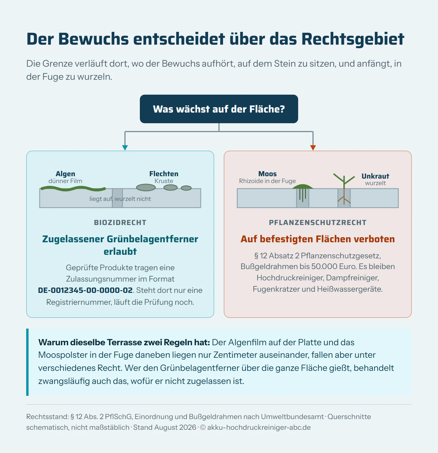 Entscheidungsbaum mit der Ausgangsfrage, was auf der Fläche wächst. Zweig eins führt über Algen als glitschigen Film und Flechten als krustige Flecken zum Biozidrecht: zugelassene Grünbelagentferner sind erlaubt, erkennbar an einer Zulassungsnummer im Format DE-0012345-00-0000-02. Zweig zwei führt über Moos als Polster und Unkraut in den Fugen zum Pflanzenschutzrecht: auf befestigten Flächen ist die Anwendung nach Paragraf 12 Absatz 2 Pflanzenschutzgesetz verboten, es bleiben mechanische Verfahren wie Hochdruckreiniger, Dampfreiniger, Fugenkratzer und Heißwassergeräte. Der Bußgeldrahmen beträgt bis zu 50.000 Euro.