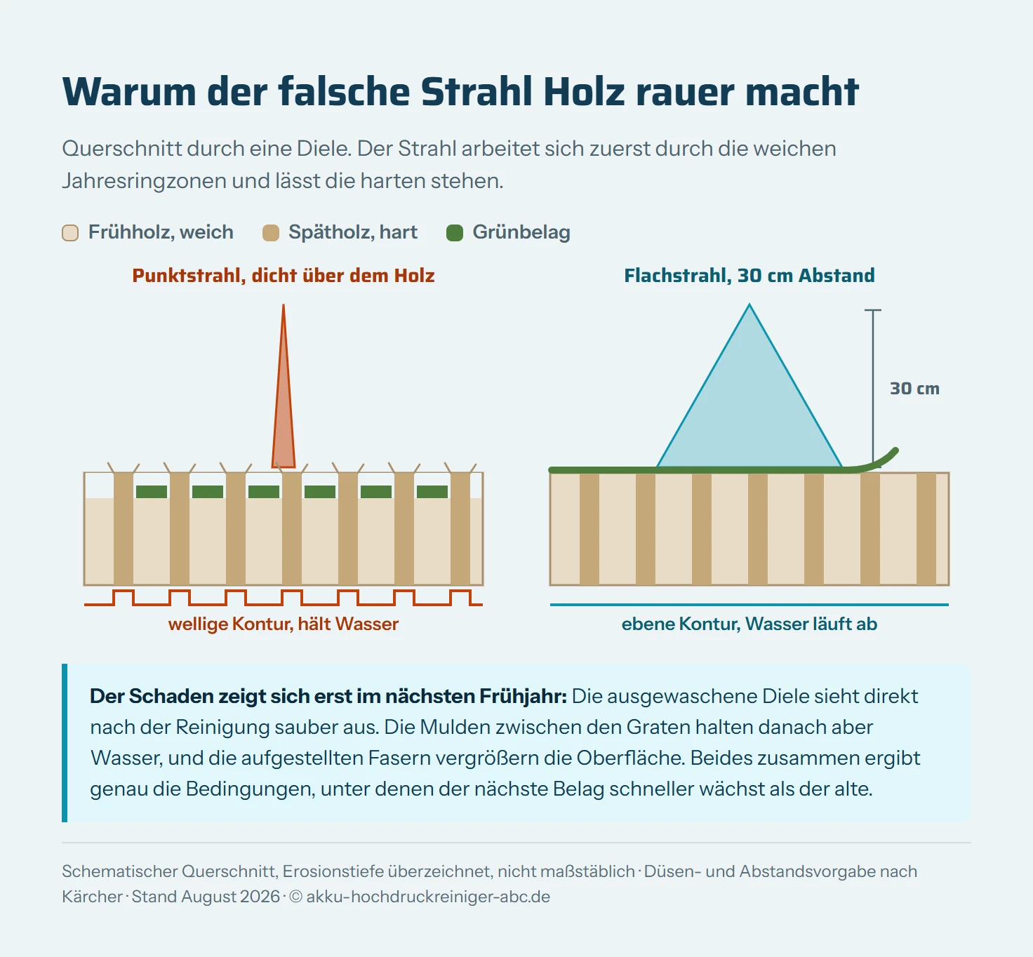 Querschnitt durch eine Holzdiele mit abwechselnd hellen Frühholz- und dunklen Spätholzzonen. Links trifft ein gebündelter Punktstrahl senkrecht auf die Oberfläche: die weichen Frühholzzonen sind ausgewaschen, die harten Spätholzzonen stehen als Grate hervor, Fasern stellen sich auf, und in den entstandenen Mulden sammelt sich Wasser mit neuem Grünbelag. Rechts arbeitet ein breiter Flachstrahl aus 30 Zentimetern Abstand flach über die Oberfläche: das Profil bleibt eben, der Belag löst sich als Schicht ab. Unter beiden Hälften ist die jeweilige Oberflächenkontur als Linie dargestellt.