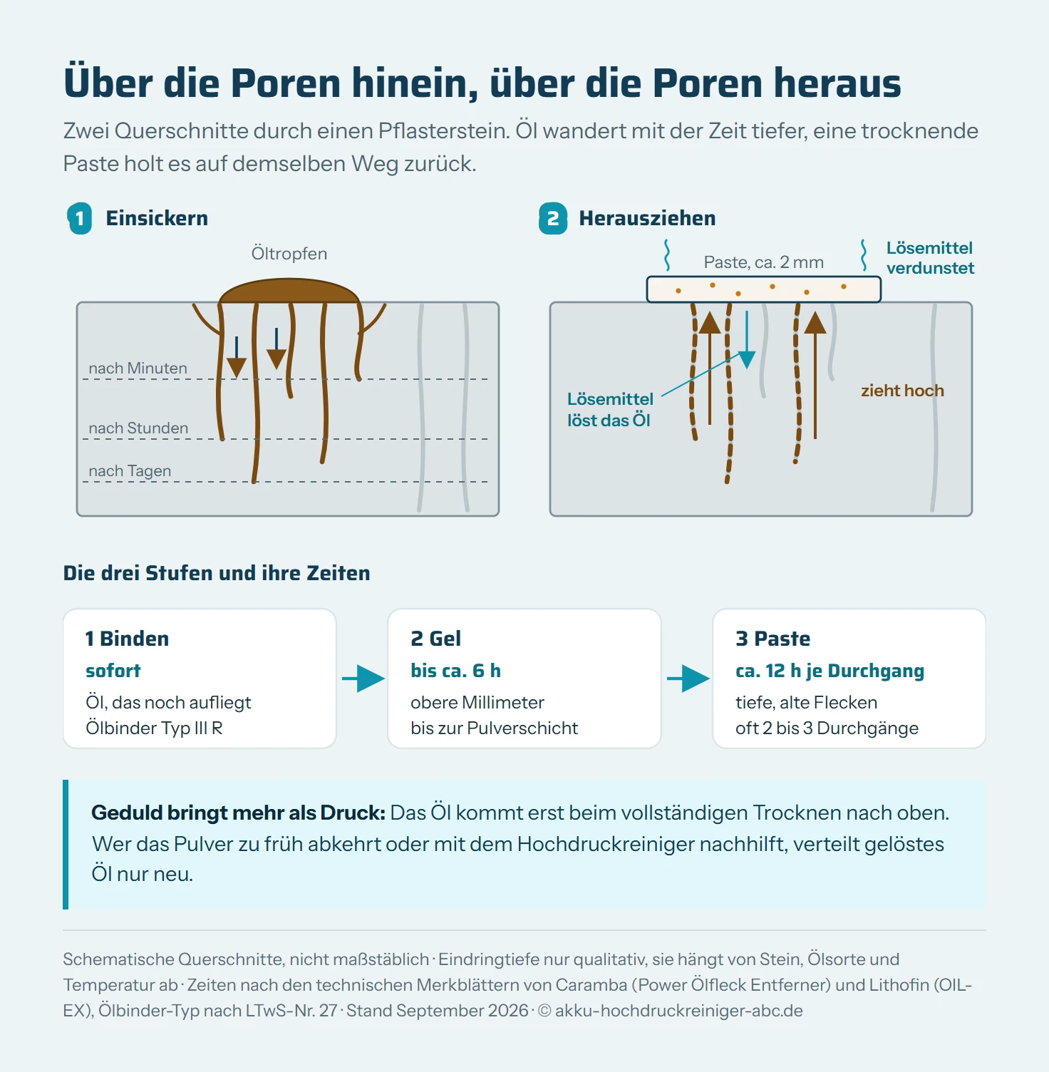 Schematische Grafik in zwei Teilen. Oben zwei Querschnitte durch einen porösen Pflasterstein nebeneinander. Links das Einsickern: Ein Öltropfen liegt auf dem Stein, Pfeile zeigen, wie das Öl durch die feinen Kapillarporen nach unten und zur Seite wandert, mit zunehmender Liegezeit immer tiefer. Rechts das Herausziehen: Auf dem Stein liegt eine Schicht Ölfleckentferner-Paste, deren Lösemittel nach unten wirkt und das Öl löst. Beim Trocknen verdunstet das Lösemittel nach oben, und Pfeile zeigen, wie das gelöste Öl durch dieselben Poren zurück in die saugende Paste wandert. Unten eine Ablaufkette in drei Schritten: erstens Binden mit Ölbindemittel sofort, für Öl, das noch aufliegt; zweitens Gel, laut Caramba bis zu etwa 6 Stunden bis zur Pulverschicht, für die oberen Millimeter; drittens Paste, laut Lithofin rund 12 Stunden je Durchgang, bei tiefen Flecken zwei bis drei Durchgänge.