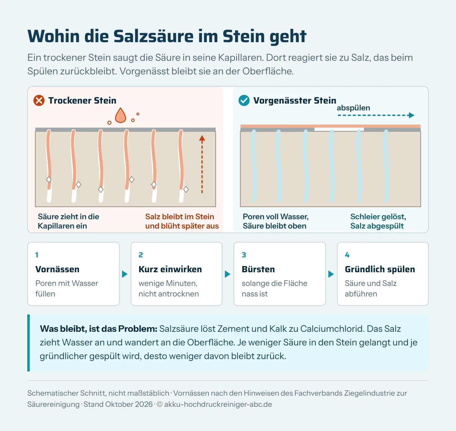 Zwei schematische Querschnitte durch einen porösen Stein nebeneinander. Links trocken: Ein Salzsäuretropfen zieht über die Kapillaren tief in den Stein ein, an der Oberfläche schäumt Kohlendioxid auf, in der Tiefe bleiben Calciumchlorid-Kristalle zurück, die später an der Oberfläche als weißer Belag ausblühen. Rechts vorgenässt: Die Poren sind mit Wasser gefüllt, die Säure bleibt an der Oberfläche, löst dort den Zementschleier und wird beim Nachspülen mit dem gelösten Salz abgeführt. Darunter die Reihenfolge Vornässen, Säure kurz einwirken lassen, bürsten, gründlich spülen.
