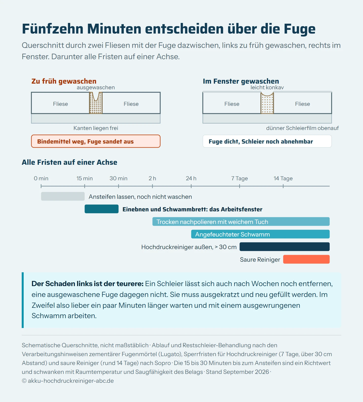 Zweiteilige Grafik zum Reinigen nach dem Verfugen. Oben zwei schematische Querschnitte durch zwei Fliesen mit der Fuge dazwischen. Links der Fehlerfall bei zu frühem Abwaschen: Die Fuge ist muldig ausgewaschen, das Bindemittel fehlt an der Oberfläche, die Kanten liegen frei. Rechts der Regelfall: Die Fuge steht sauber und leicht konkav zwischen den Fliesen, auf den Fliesenoberflächen liegt ein dünner, hell gezeichneter Schleierfilm, der sich noch abnehmen lässt. Unten eine Zeitachse vom Einwaschen bis vierzehn Tage danach mit fünf farbig abgesetzten Phasen: null bis etwa fünfzehn Minuten Ansteifen, in der nicht gewaschen wird; etwa fünfzehn bis dreißig Minuten das eigentliche Zeitfenster für Einebnen und Schwammbrett; zwei bis vierundzwanzig Stunden für trockenes Nachpolieren oder den angefeuchteten Schwamm am nächsten Tag; ab sieben Tagen ist der Hochdruckreiniger auf Außenfugen mit über dreißig Zentimetern Abstand freigegeben; ab rund vierzehn Tagen sind saure Reiniger zulässig.